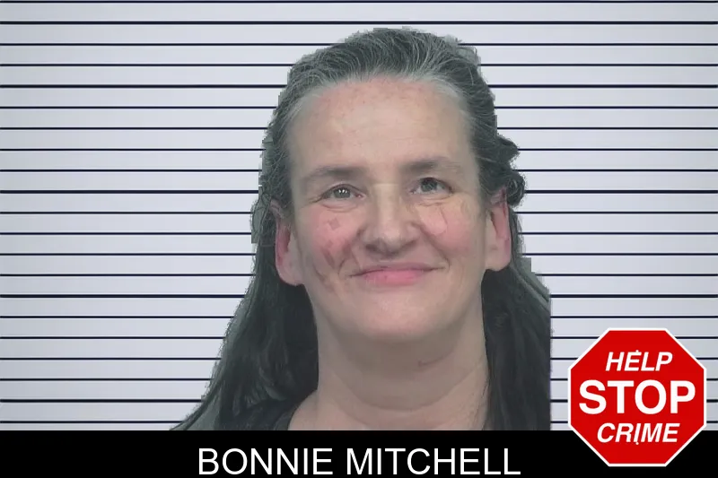 Bonnie Mitchell mugshot – Gwinnett County , Georgia Bonnie Mitchell mugshot