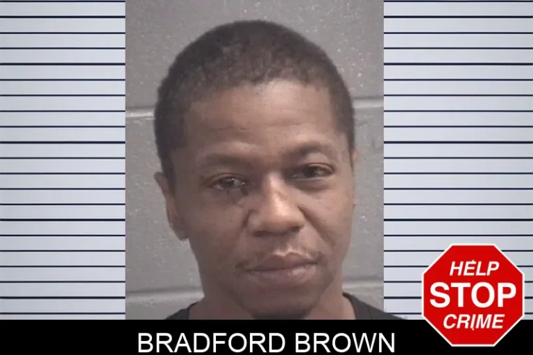 Bradford Brown