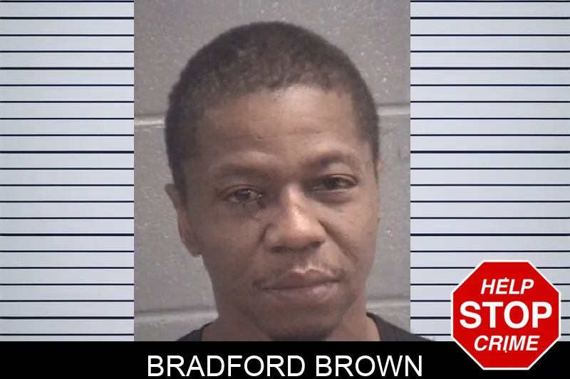 Bradford Brown Mugshots