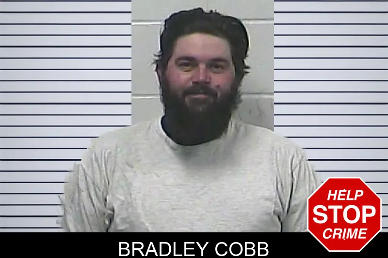 Bradley Cobb Mugshots
