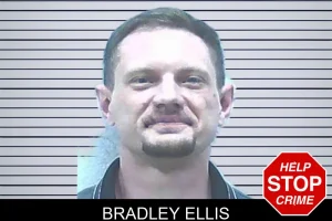 Bradley Ellis mugshot