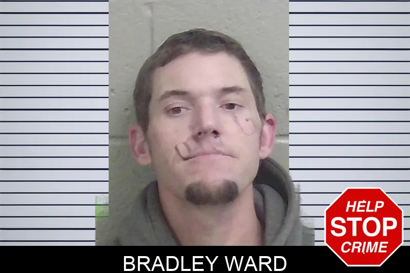 Bradley Ward Mugshots