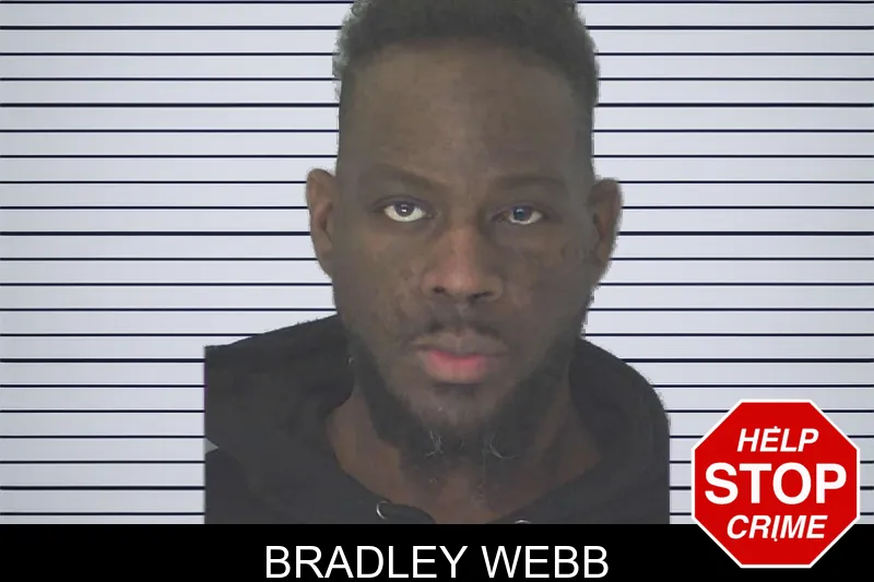 Bradley Webb mugshot