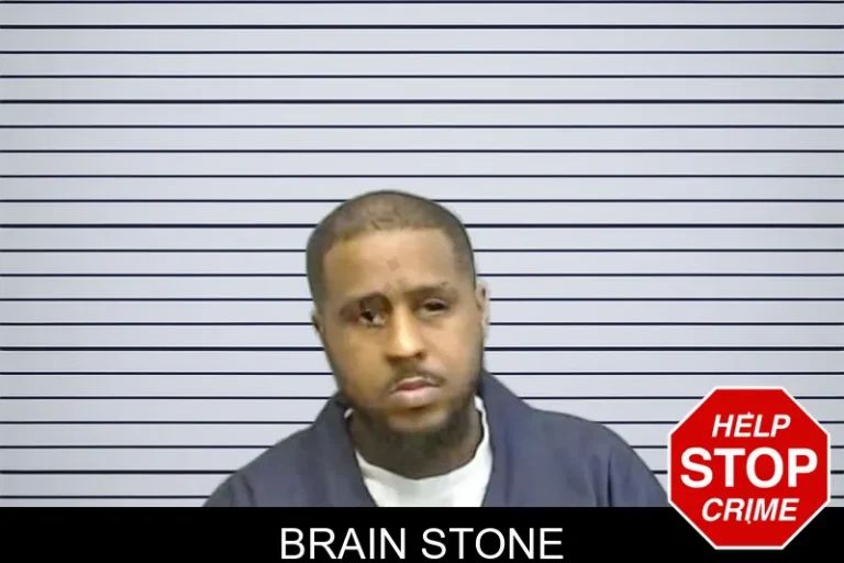Brain Stone