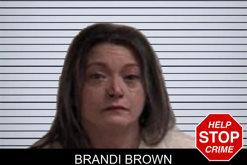 Brandi Brown Mugshots