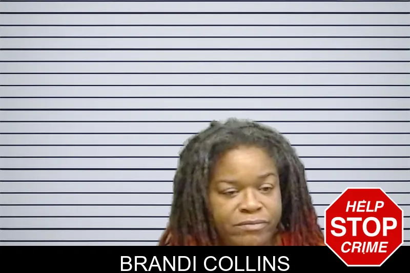 Brandi Collins mugshot – Fulton County , Georgia Brandi Collins mugshot