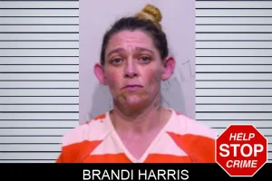Brandi Harris mugshot