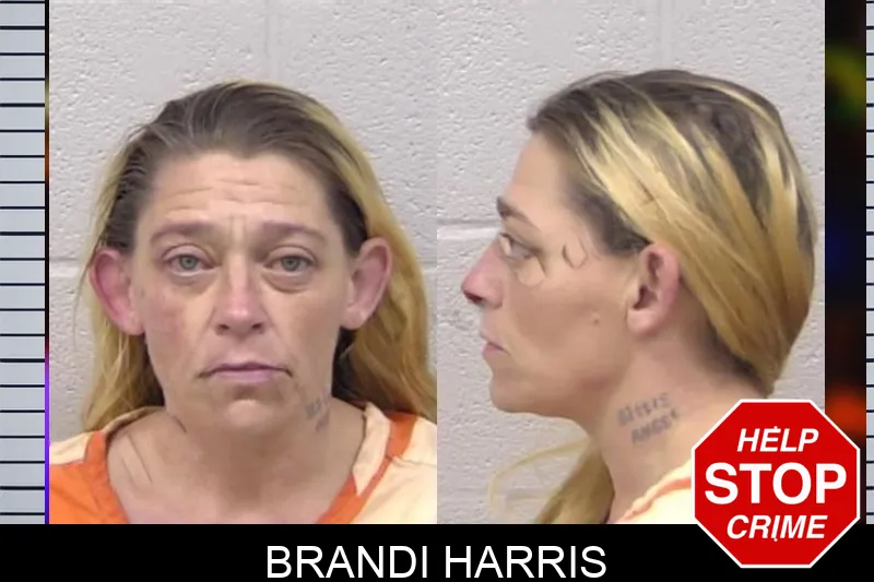 Brandi Harris Mugshots