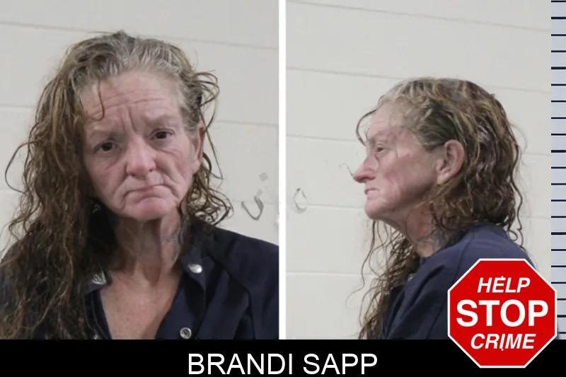 Brandi Sapp Mugshots