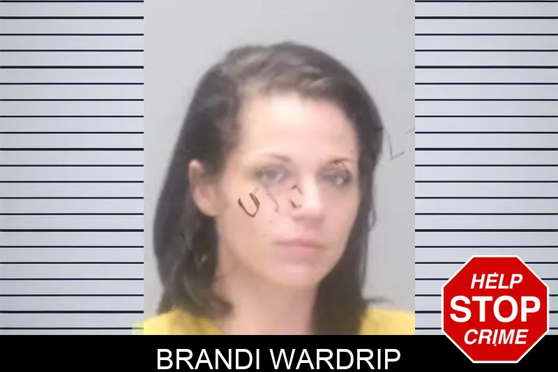 Brandi Wardrip Mugshots