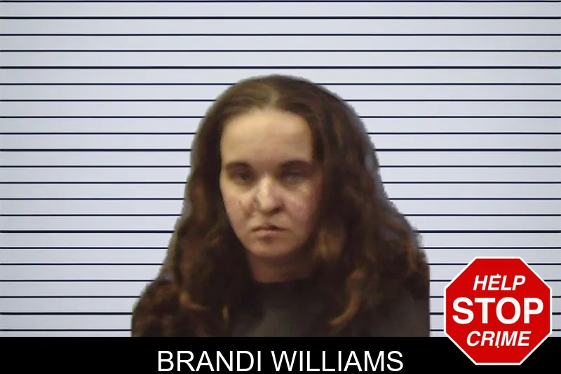 Brandi Williams mugshot