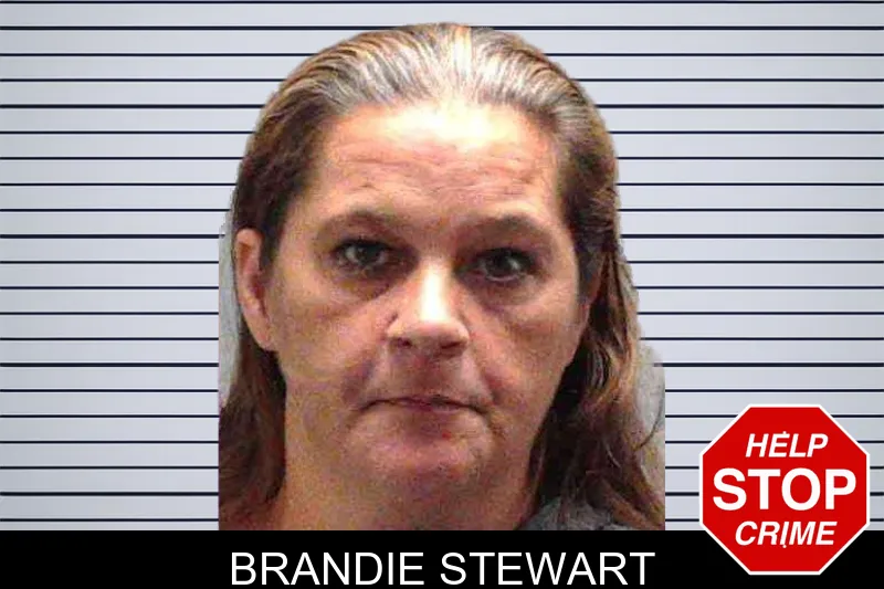 Brandie Stewart mugshot