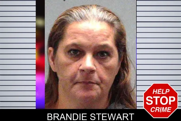 Brandie Stewart mugshot – Burke County , Georgia Brandie Stewart