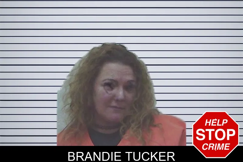 Brandie Tucker Mugshots