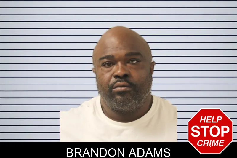 Brandon Adams Mugshots