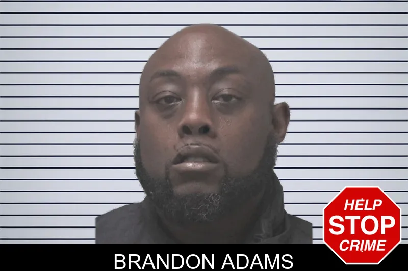Brandon Adams Mugshots