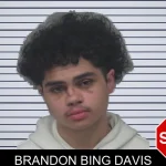 Brandon Bing Davis Mugshots