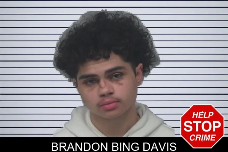 Brandon Bing Davis mugshot – Gwinnett County , Georgia Brandon Bing Davis