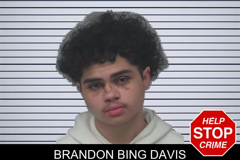 Brandon Bing Davis Mugshots