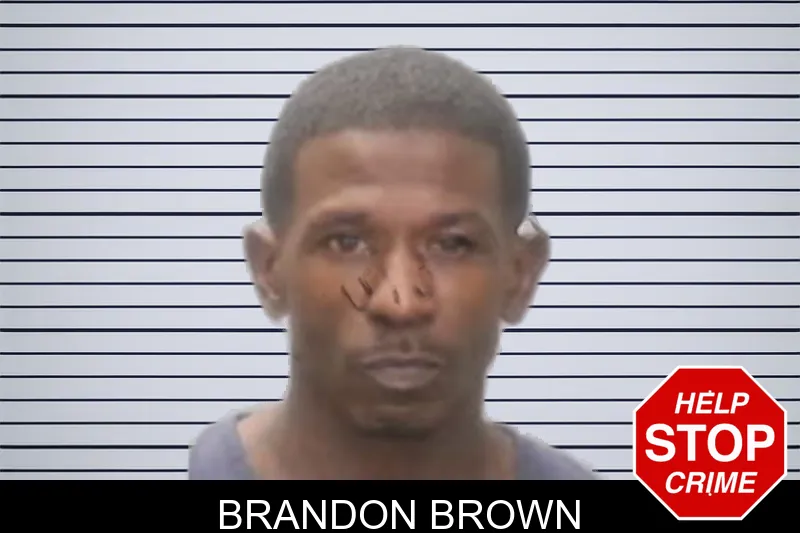 Brandon Brown Mugshots