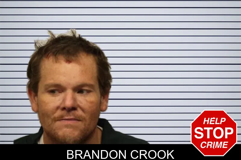 Brandon Crook mugshot – Chatham County , Georgia Brandon Crook mugshot