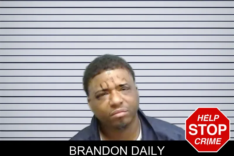 Brandon Daily Mugshots