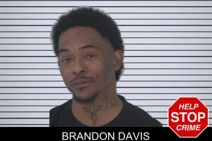 Brandon Davis mugshot