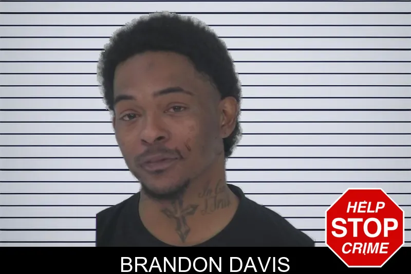 Brandon Davis mugshot