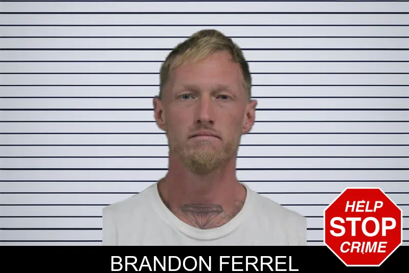 Brandon Ferrel Mugshots