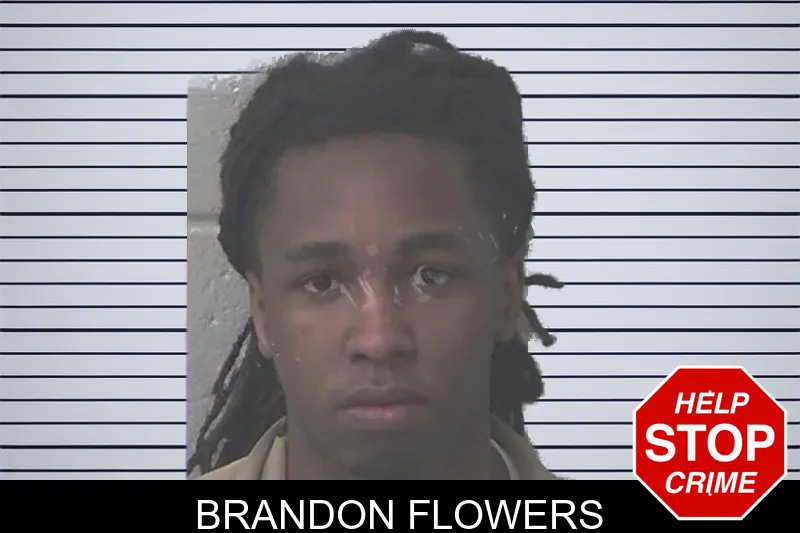 Brandon Flowers Mugshots