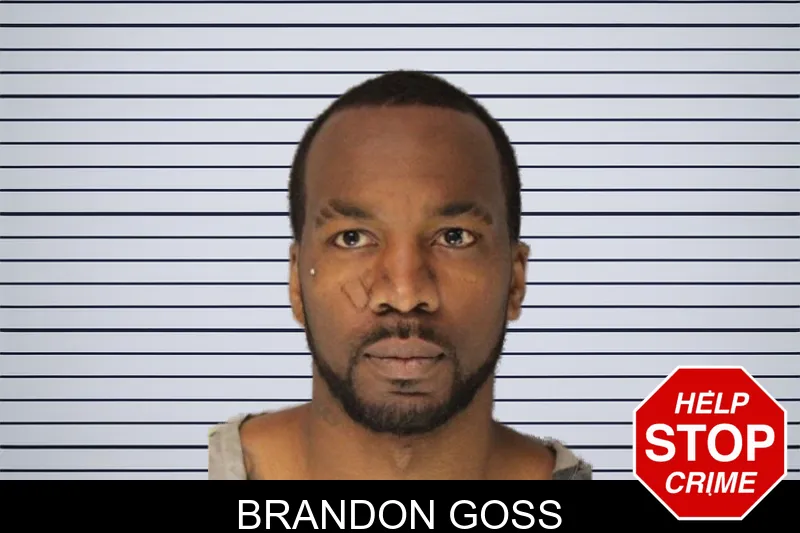 Brandon Goss Mugshots
