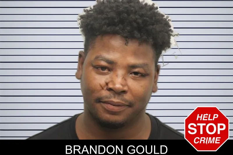 Brandon Gould Mugshots