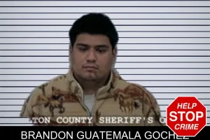 Brandon Guatemala Gochez mugshot
