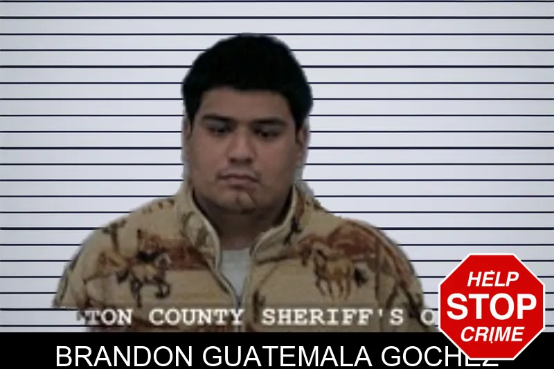 Brandon Guatemala Gochez Mugshots