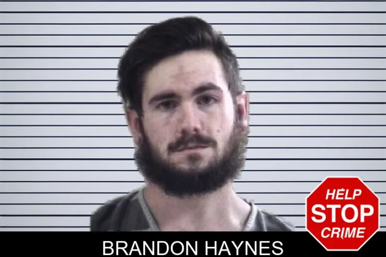 Brandon Haynes
