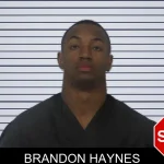 Brandon Haynes mugshot