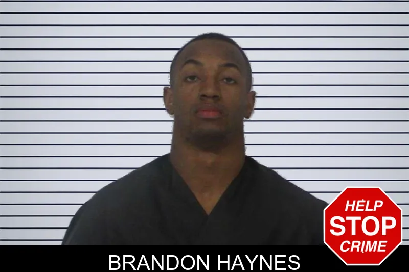 Brandon Haynes mugshot