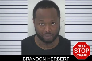 Brandon Herbert mugshot