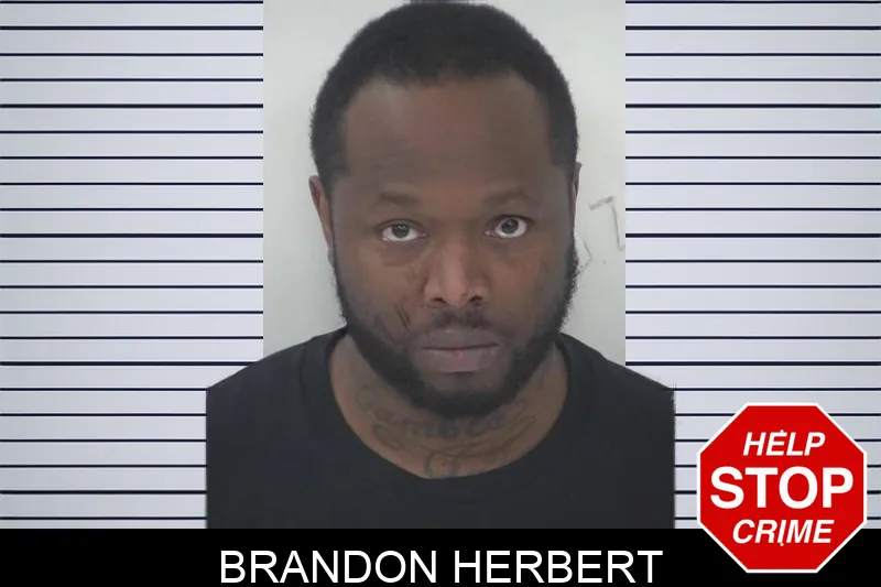 Brandon Herbert Mugshots