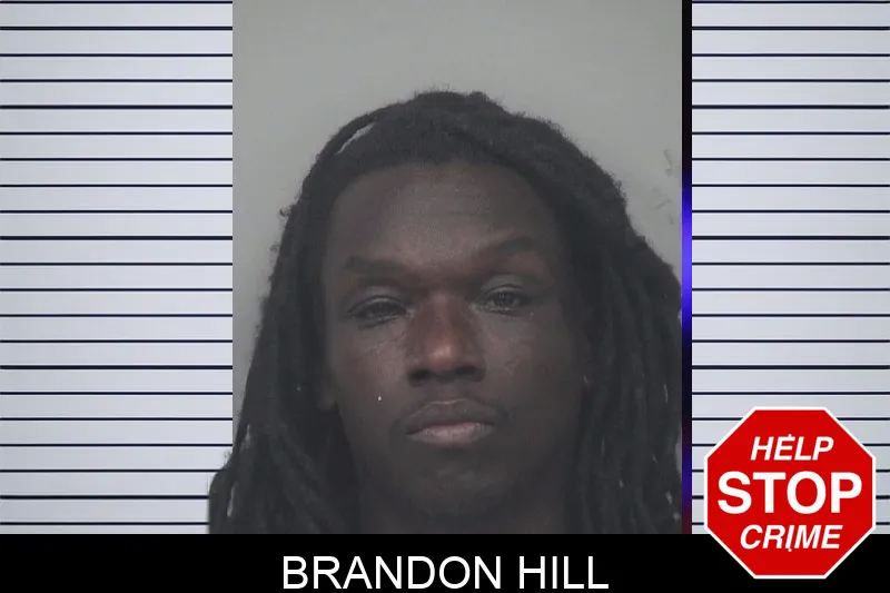 Brandon Hill mugshot