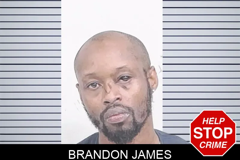 Brandon James Mugshots