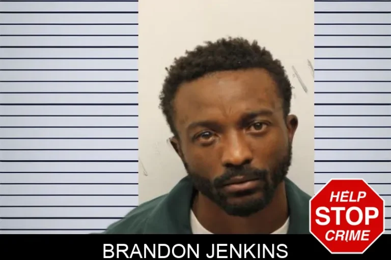 Brandon Jenkins mugshot – Chatham County , Georgia Brandon Jenkins