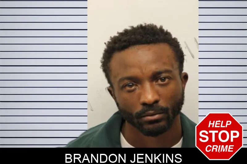 Brandon Jenkins mugshot – Chatham County , Georgia Brandon Jenkins mugshot