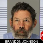 Brandon Johnson Mugshots