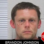 Brandon Johnson Mugshots