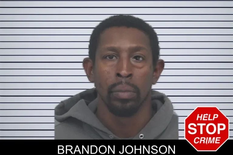 Brandon Johnson mugshot – Gwinnett County , Georgia Brandon Johnson