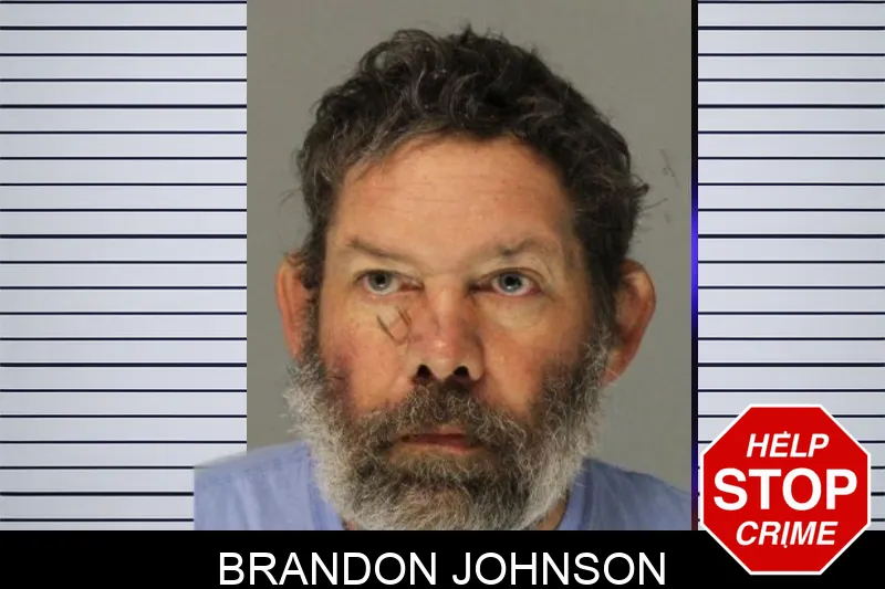 Brandon Johnson mugshot