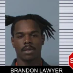 Brandon Lawyer Mugshots