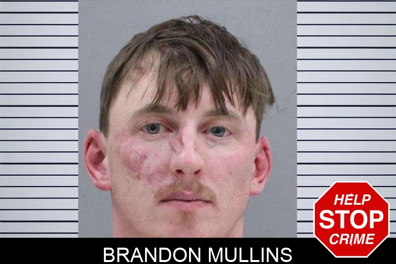 Brandon Mullins Mugshots