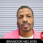 Brandon Nelson Mugshots